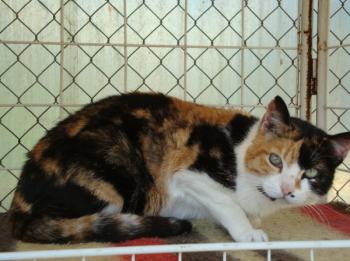 c Bild von Cata