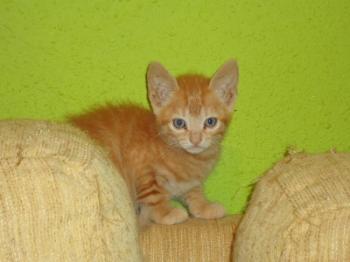 f Bild von Fry