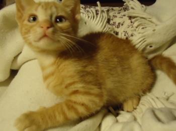 f Bild von Fry