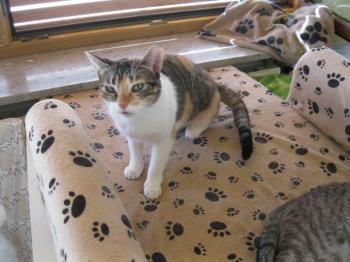 l Bild von Lilou