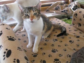 l Bild von Lilou