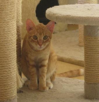 t Bild von Tuna