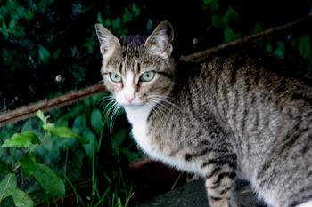s Bild von Sarita