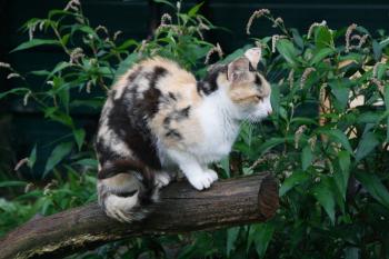 t Bild von Teresita