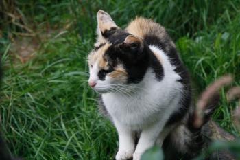 t Bild von Teresita