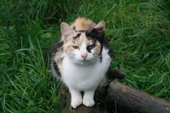 t Bild von Teresita