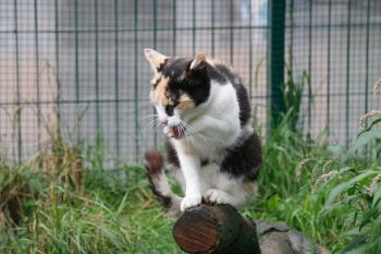 t Bild von Teresita