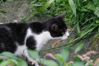 Bild von Beto