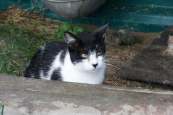 Bild von Beto