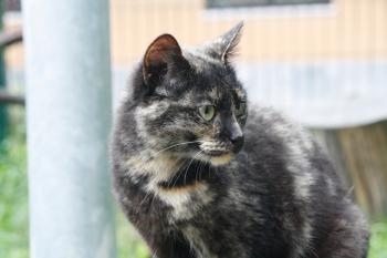 m Bild von Misako