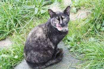 m Bild von Misako