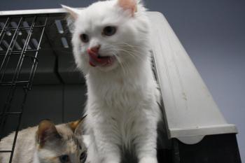 r Bild von Rhett