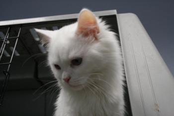 r Bild von Rhett