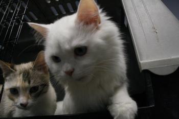 r Bild von Rhett