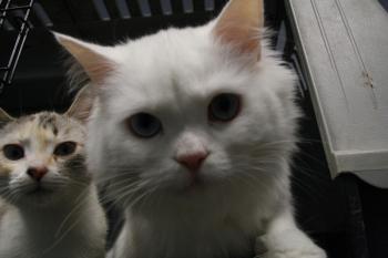 r Bild von Rhett