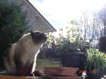 c Bild von Caspian