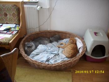 p Bild von Paco