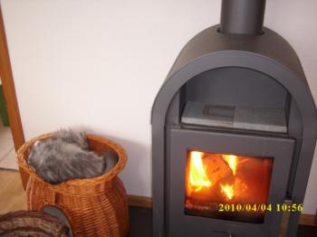 p Bild von Paco