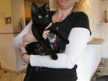 b Bild von Bella