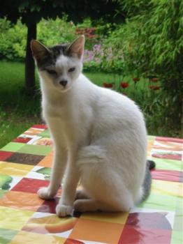 Bild von Indira