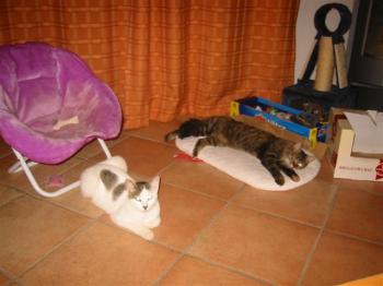 Bild von Indira