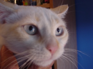 d Bild von Dori
