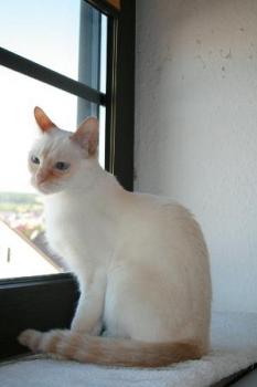 Juno Bild von Blanquita