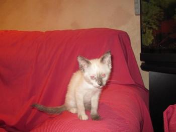 Bild von Duna