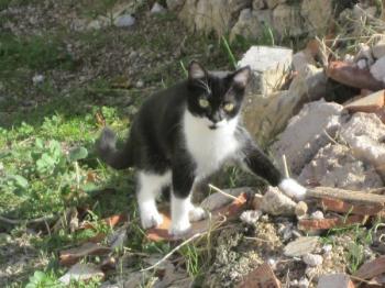 Bild von Hope
