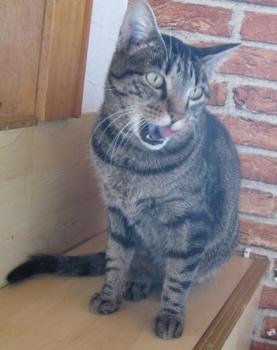 c Bild von Cutie Pie