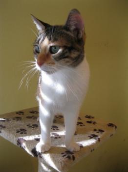 l Bild von Lilou
