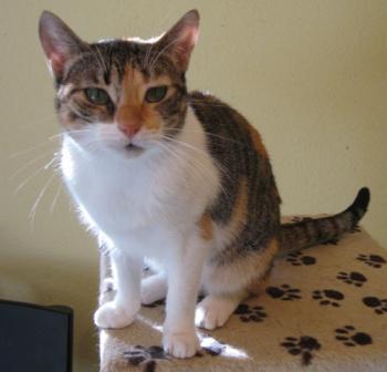 l Bild von Lilou