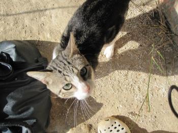 l Bild von Liliano