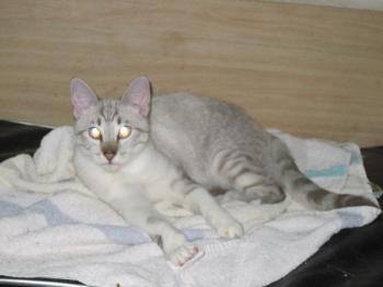 l Bild von Luno