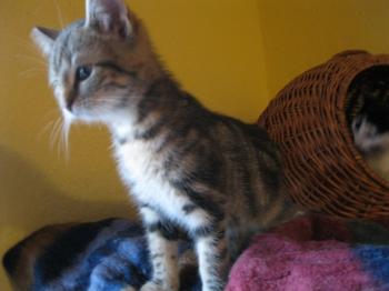 Bild von Olivia