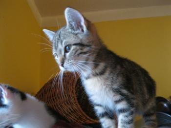 Bild von Olivia
