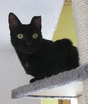 b Bild von Bella