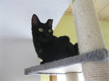 b Bild von Bella