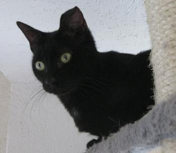 b Bild von Bella