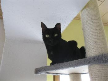 b Bild von Bella