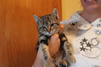 Bild von Olivia