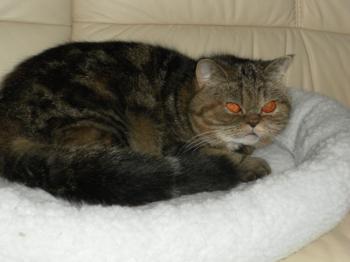 m Bild von Maya
