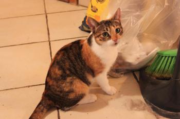 l Bild von Lilou