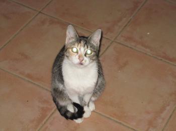 c Bild von Cindy