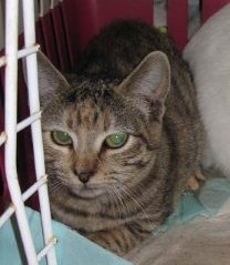 Bild von Suzette