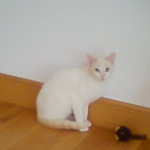 d Bild von Dori