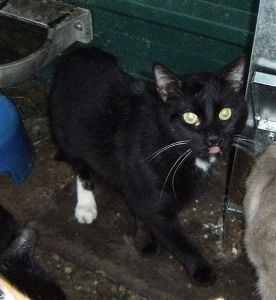 Bild von Igor