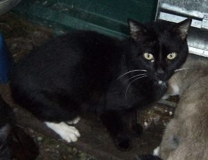 Bild von Igor