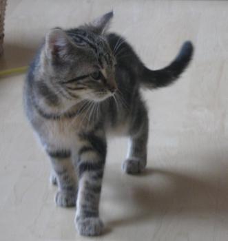 Bild von Olivia