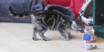 Bild von Olivia